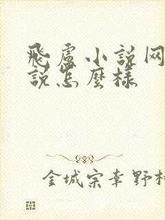 飞卢小说网写小说怎么样