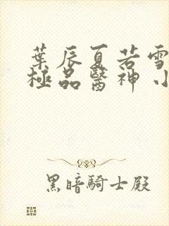 叶辰夏若雪都市极品医神 小说