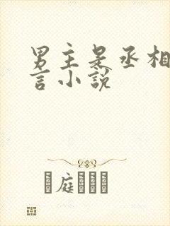 男主是丞相的古言小说