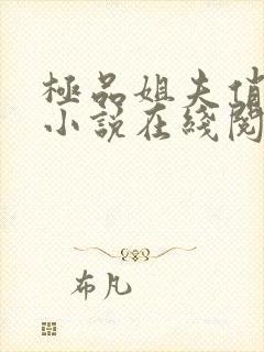 极品姐夫俏小姨小说在线阅读全文免费封面