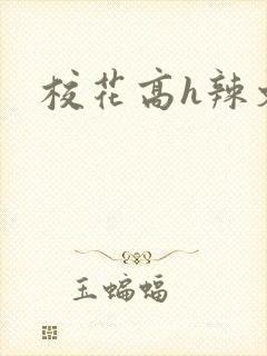 校花高h辣文封面