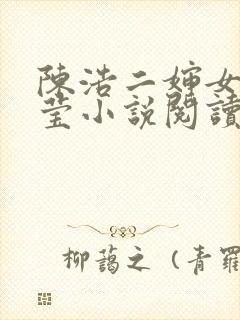 陈浩二婶女儿小莹小说阅读封面