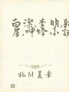 白洁,李明,乳房,呻吟小说封面