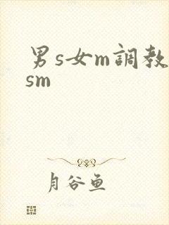 男s女m调教(sm封面