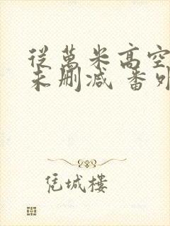 从万米高空降临未删减 番外