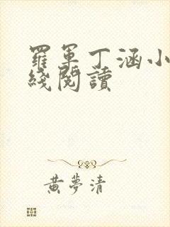 罗军丁涵小说在线阅读