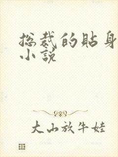 总裁的贴身秘书小说