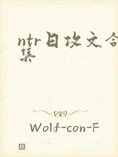 ntr日攻文合集封面