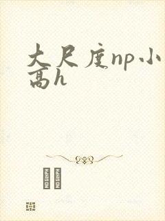 大尺度np小说高h