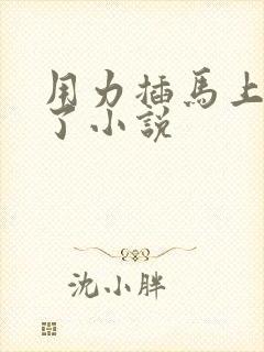 用力插马上高潮了小说封面