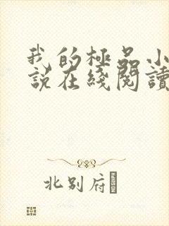 我的极品小姨小说在线阅读全文