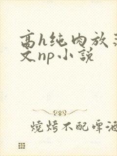 高h纯肉放荡h文np小说