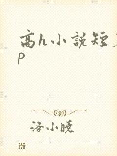 高h小说短篇np