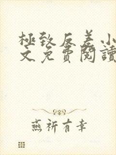 极致反差小说全文免费阅读笔趣阁