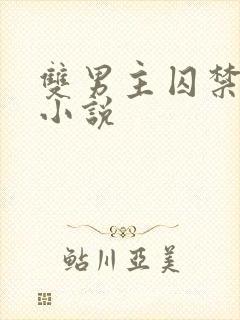 双男主囚禁调教小说