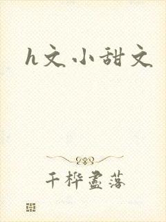 h文小甜文