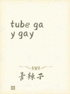 tube gay gay封面