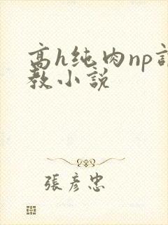 高h纯肉np调教小说