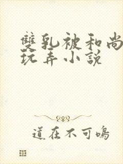双乳被和尚揉着玩弄小说封面