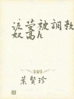 流萤被调教成肉奴高h