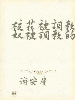 校花被调教成贱奴被调教的小说封面