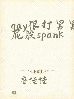 gay狠打男男屁股spank
