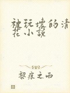 被玩坏的清纯校花小说封面