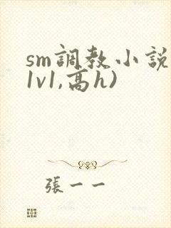 sm调教小说(1v1,高h)