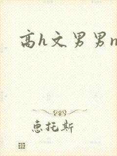 高h文男男np封面