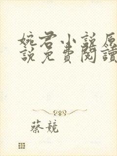 婉君小说原著小说免费阅读