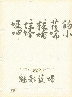 吸住校花的奶头呻吟娇喘小说