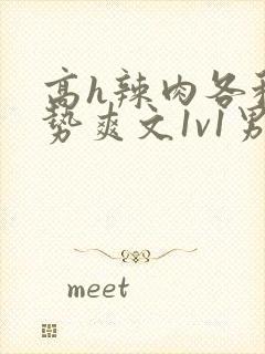 高h辣肉各种姿势爽文1v1男男