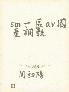 sm一区av国产调教
