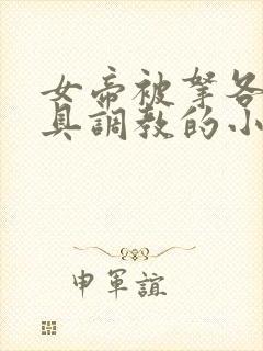 女帝被拿各种刑具调教的小说