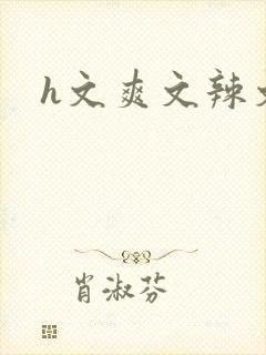 h文爽文辣文封面