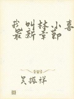 我叫林小喜17最新章节封面