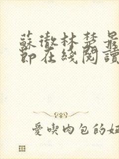 苏彻林楚最新章节在线阅读