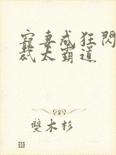 宠妻成狂闪婚总裁太霸道