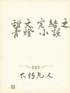甜文完结之后 青灯 小说