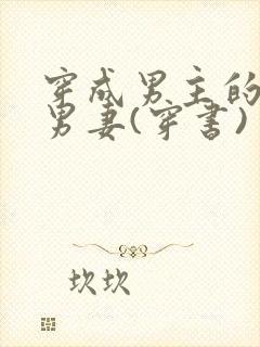 穿成男主的炮灰男妻(穿书)