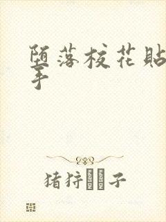 堕落校花贴身高手封面