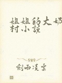 姐姐的大奶子乡村小说