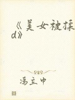 《美女被揉胸hd》