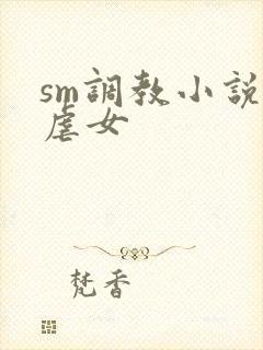sm调教小说男虐女