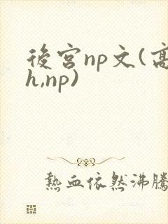后宫np文(高h,np)