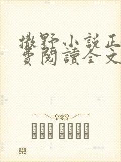 撒野小说正版免费阅读全文无删减封面