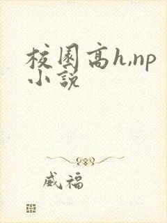 校园高h,np小说