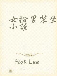 女扮男装坐江山小说