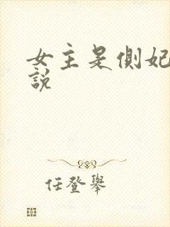 女主是侧妃的小说