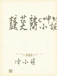 校花被c呻吟双腿大开小说封面